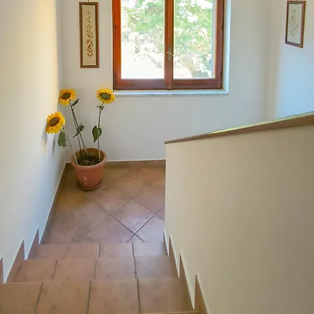 Macondo Bed and breakfast