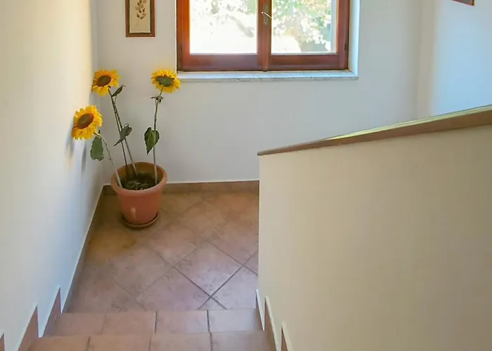 Macondo Oda ve Kahvaltı